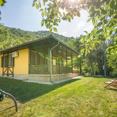 Vila Camelia Golubac Esterno foto