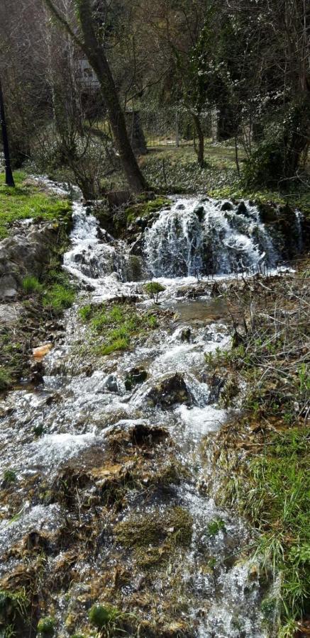 Vila Camelia Golubac Esterno foto