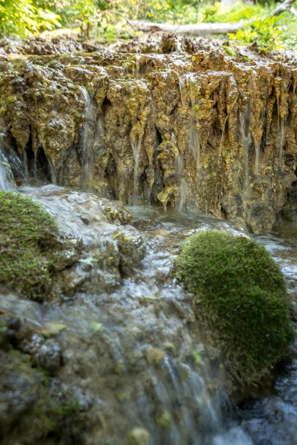 Vila Camelia Golubac Esterno foto